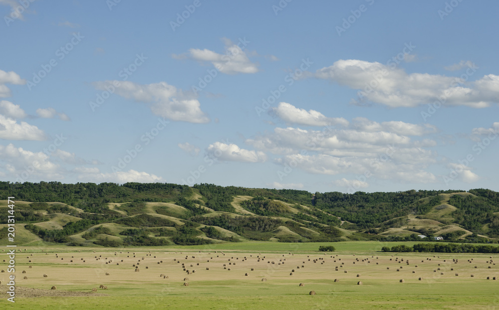 A baled hay field in a valley with rolling hills and bright blue sky with fluffy white clouds