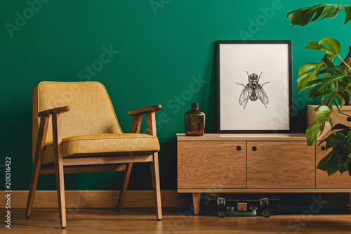 Insect poster and yellow armchair photo