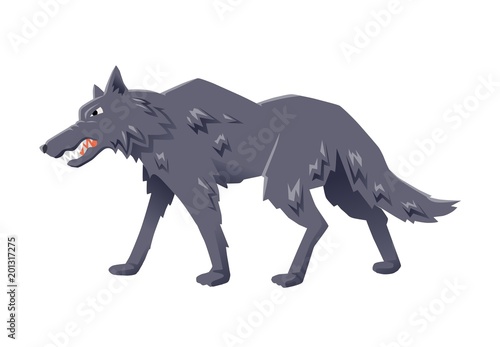 Gray angry wolf walking. Vector flat illustration  isolated on white background.