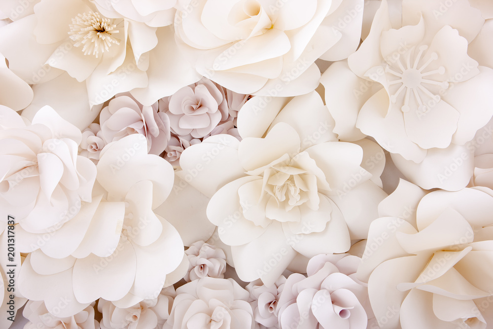 Paper Flower Paper Flower
