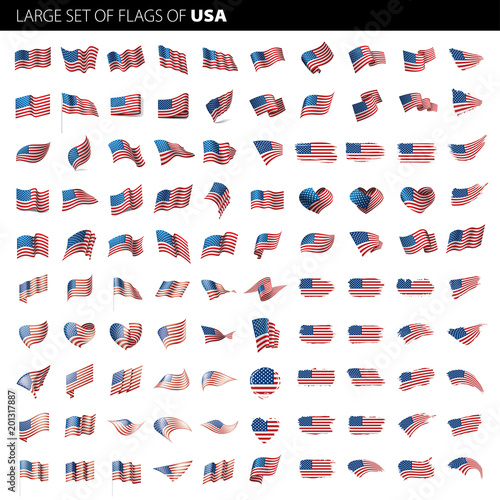 USA Flag isolated