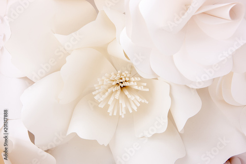 Fotografia Paper Flower