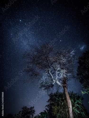 Stars above South Africa