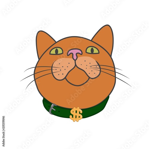 The muzzle of the cat that looks up. The dollar is on the collar. Cute vector illustration