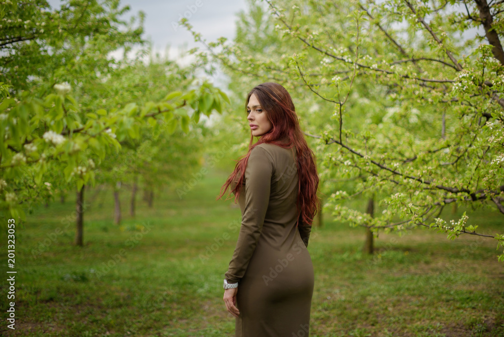 lovely girl in spring blossoming garden lovely girl in spring blossoming garden
