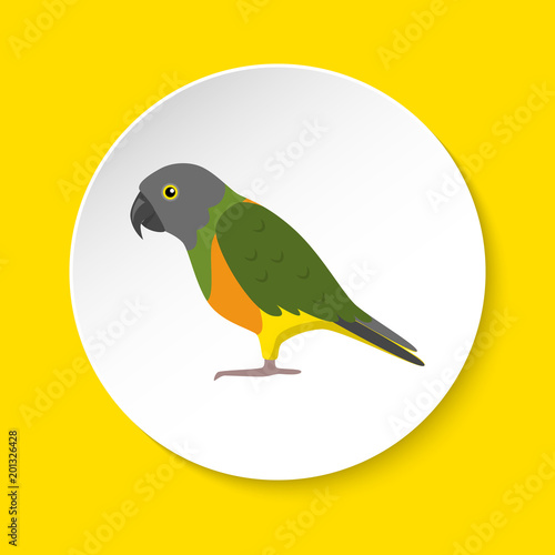 Senegal parrot icon in flat style