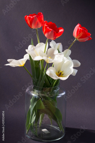 bouquet of red and white tulips in a transparent vase on a black background