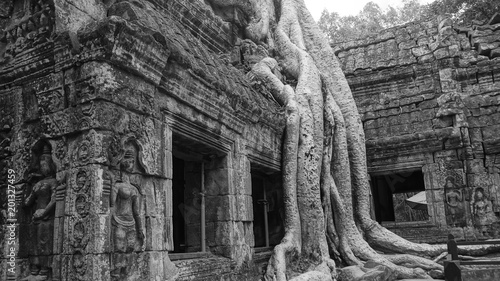 Ta Phrom Temple - The Tree Roots Temple in Angkor Wat
