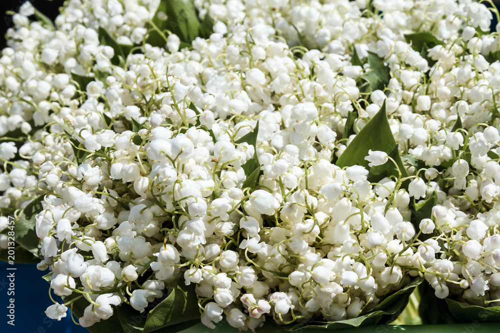 bouquet of lily of the valley flowers bouquet of lily of the valley flowers