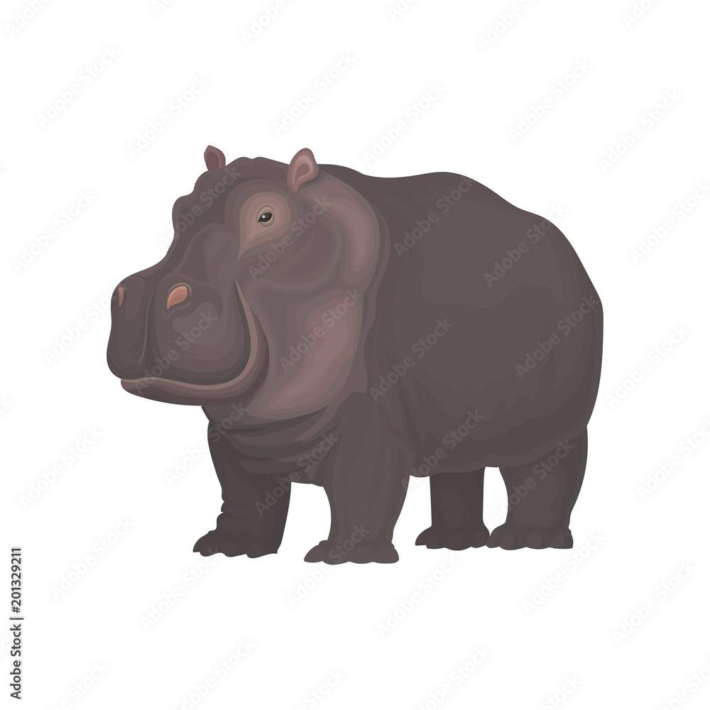 Hippopotamus wild african animal vector Illustration on a white background