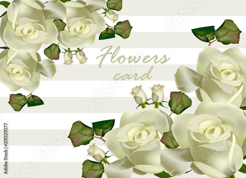 White roses flowers card Vector realistic. Beautiful floral backgrounds