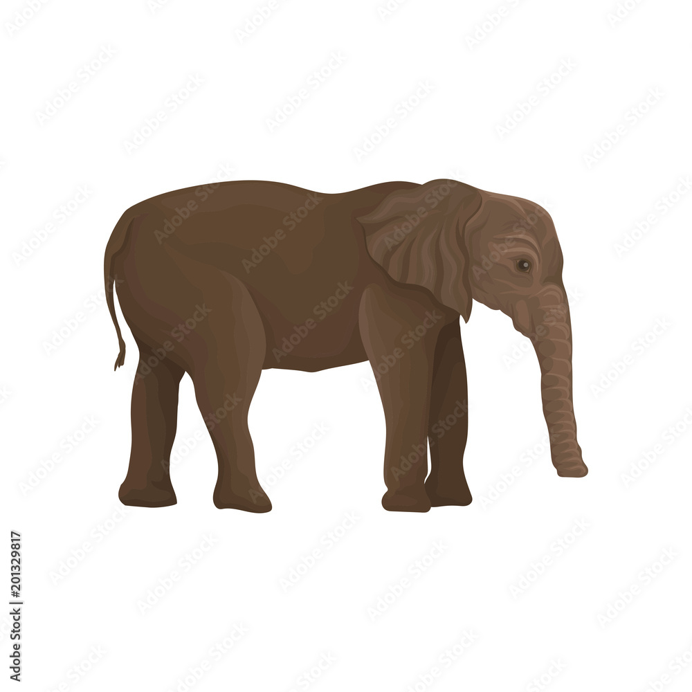 Elephant wild animal, side view vector Illustration on a white background