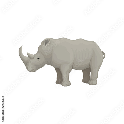 Rhinoceros wild animal, side view vector Illustration on a white background