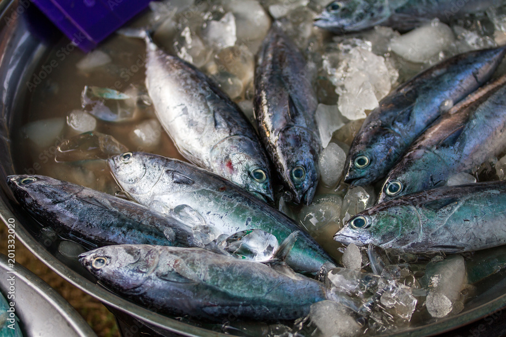 fresh fish meat ready to sale at the market fresh fish meat ready to sale at the market