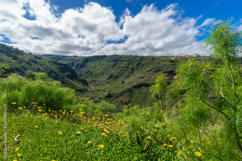 Beautiful valley on sunny day, Gran Canaria, Spain