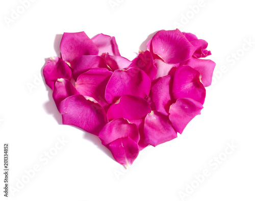 Pink rose petals heart on white background