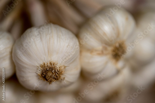 Garlic is a spice. The Very pungent. Thailand is very popular. Close-up technique is very close.
