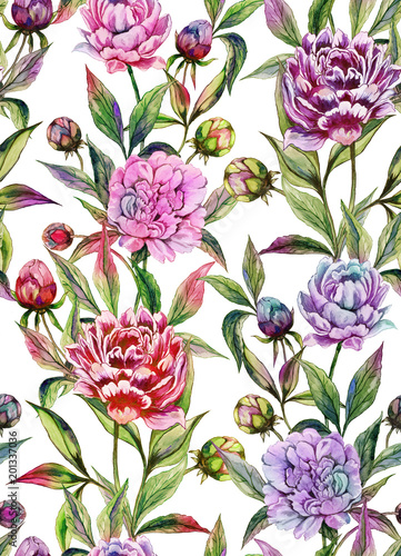 Beautiful peony flowers with buds and leaves in straight lines on white backg...