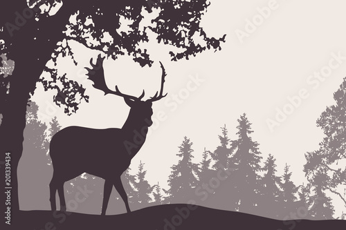 Fallow deer standing under a deciduous tree with coniferous forest in the background - suitable as an advertisement for nature, travel or hunting