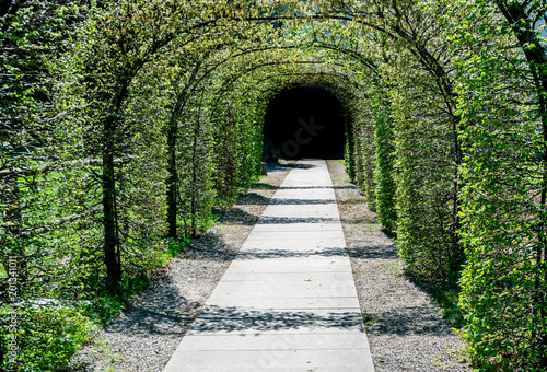 lush green archway of trees leading to a dark exit
