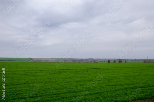 green field on a cloudy sky background