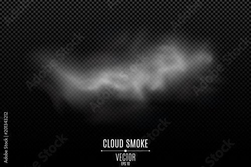 Smoke on a transparent dark background. A thick fog. Smoke from the fire. Thick cloud. Smoke effect for your design. Vector illustration