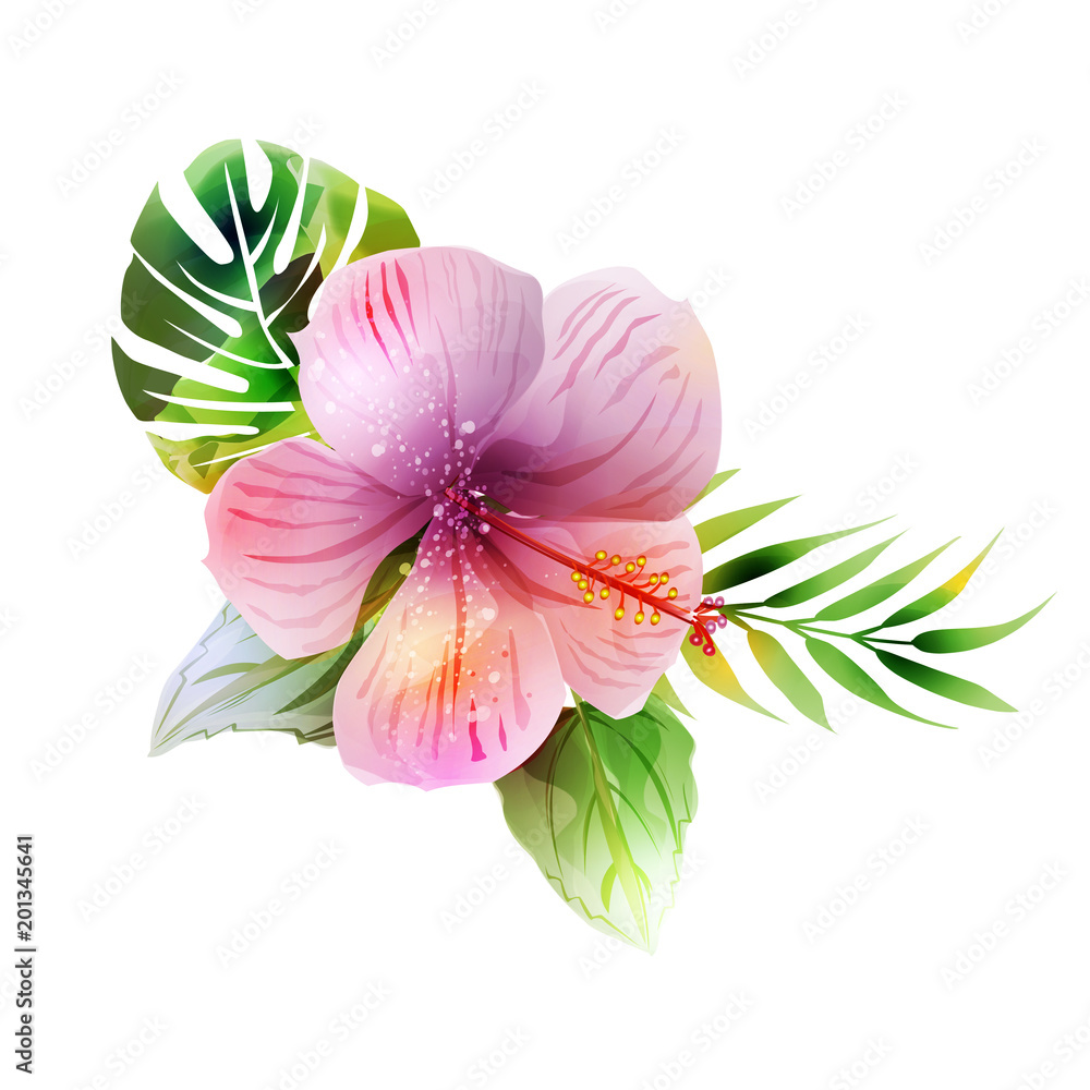 Fototapeta premium Tropical plants with hibiscus.