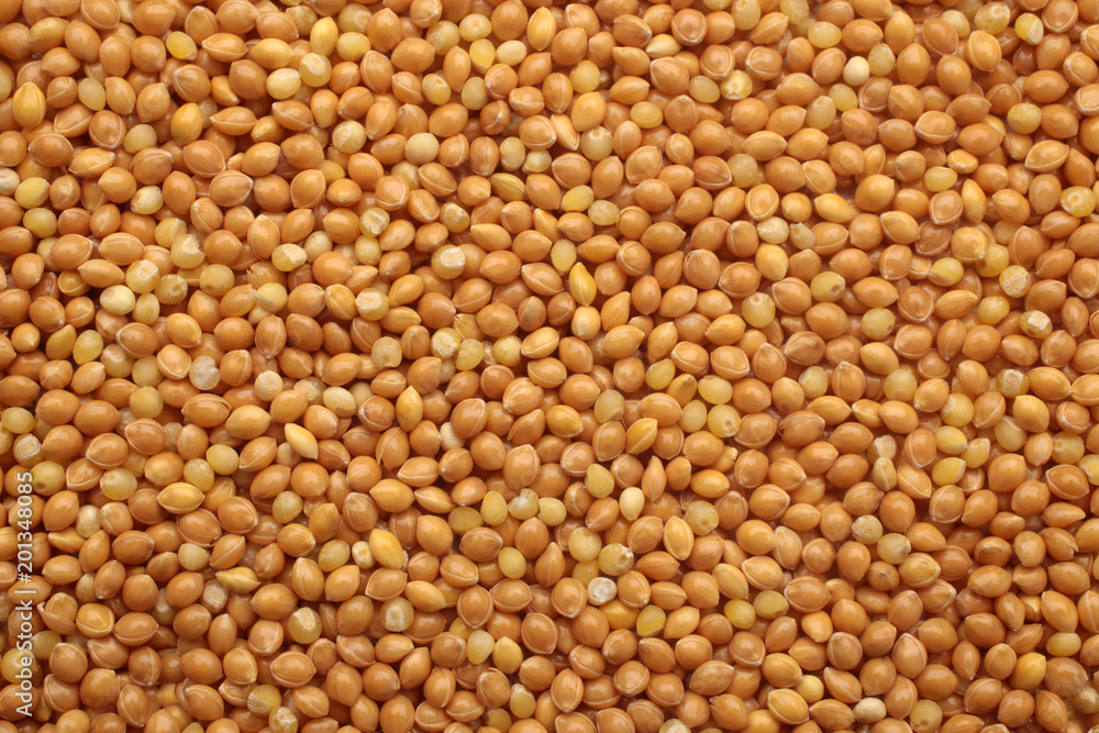 Millet Millet