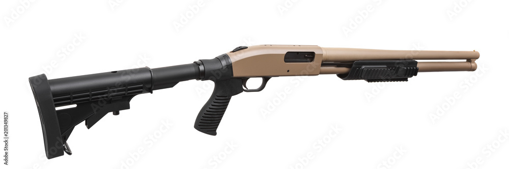 Shotgun isolated on white