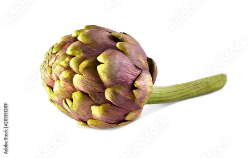 Fresh Artichoke isolated on white background