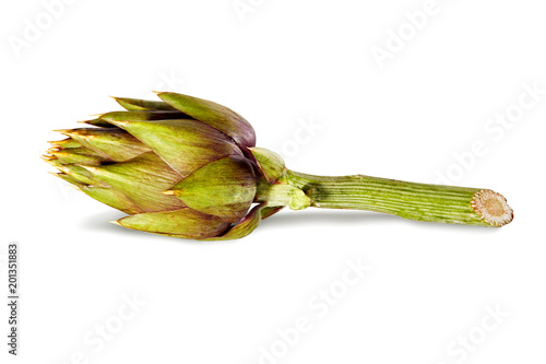 Fresh artichoke with thorns isolated on white background