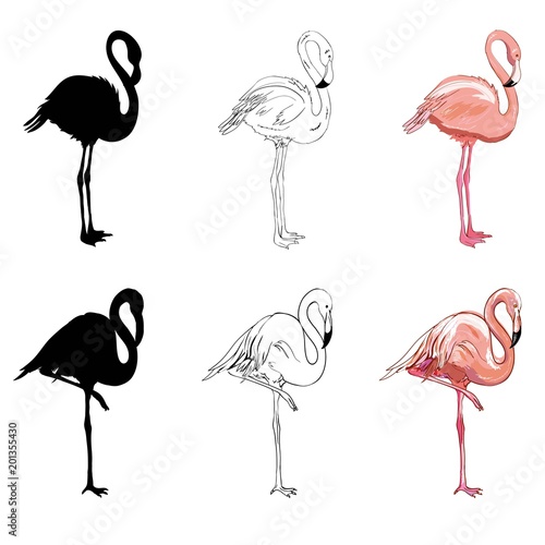 Hand drawing flamingos. Vector illustration © kolesnikov90