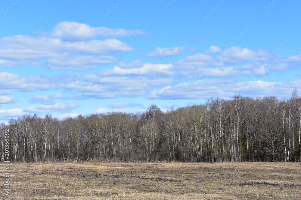 landscape early spring forest field sky clouds landscape early spring forest field sky clouds