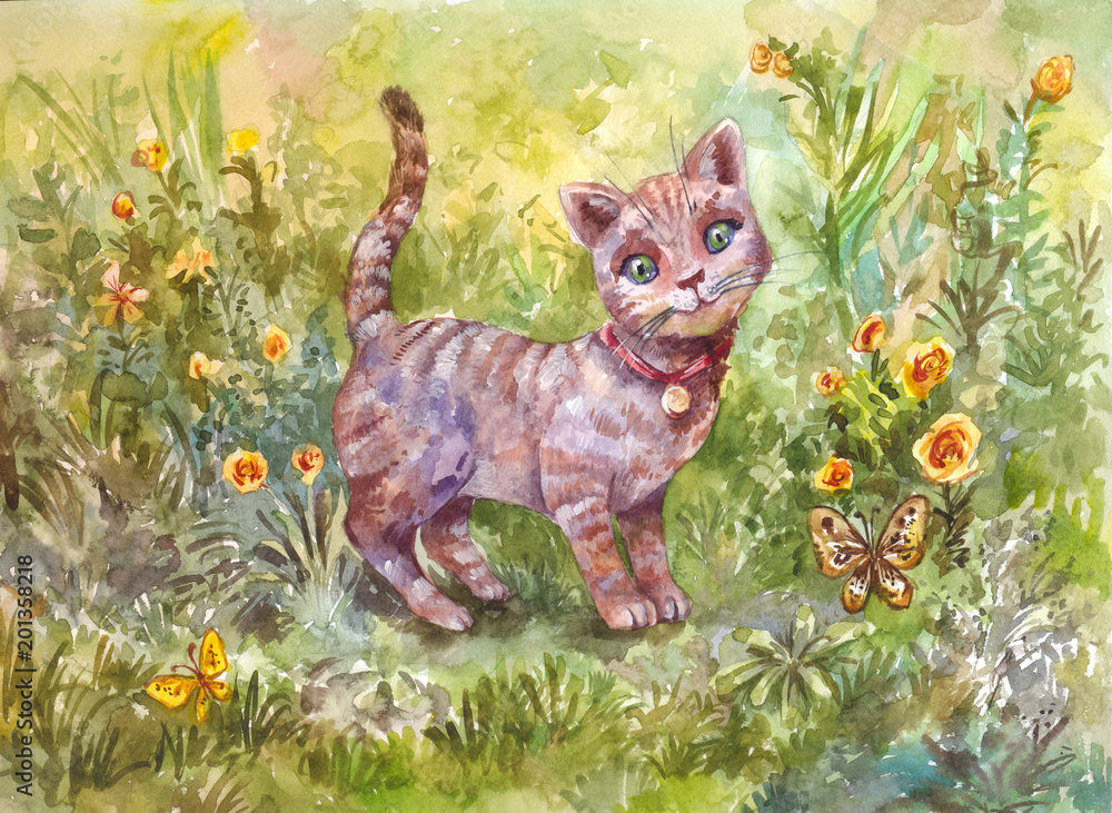 Obraz Akwareli ilustracja szary mały kot