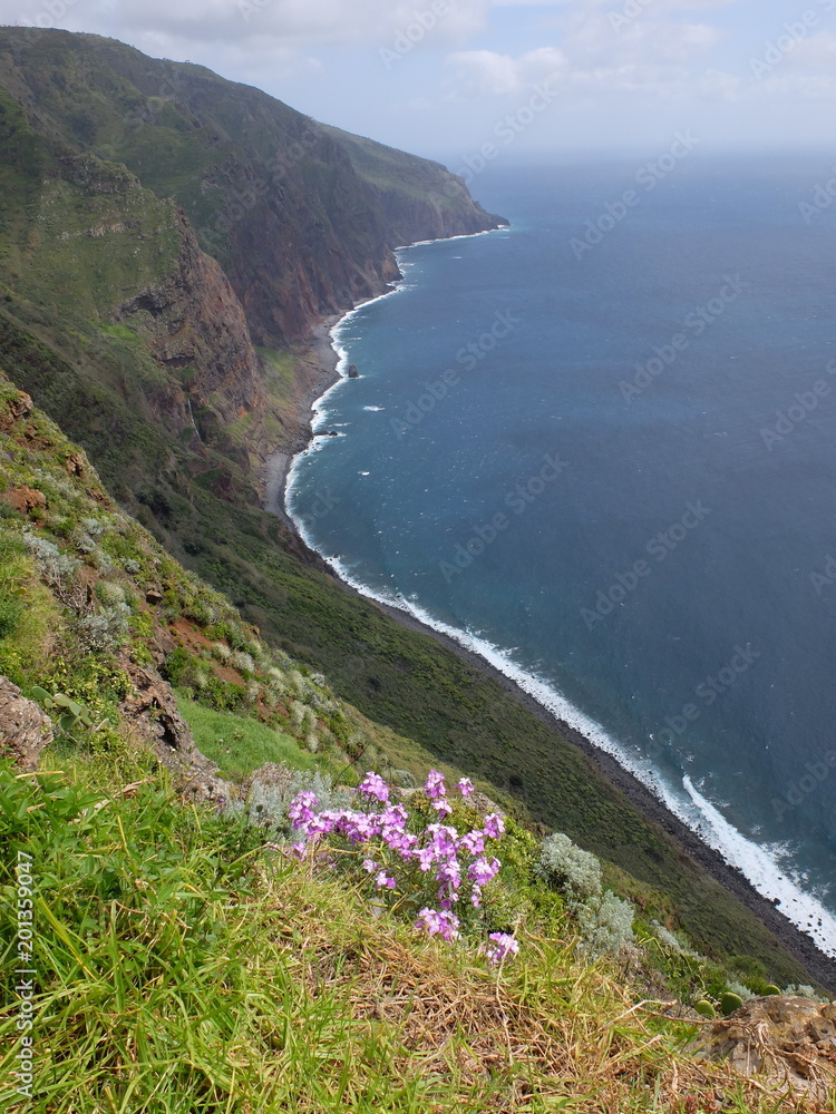 Fototapeta premium PONTA DO PARGO, Madère