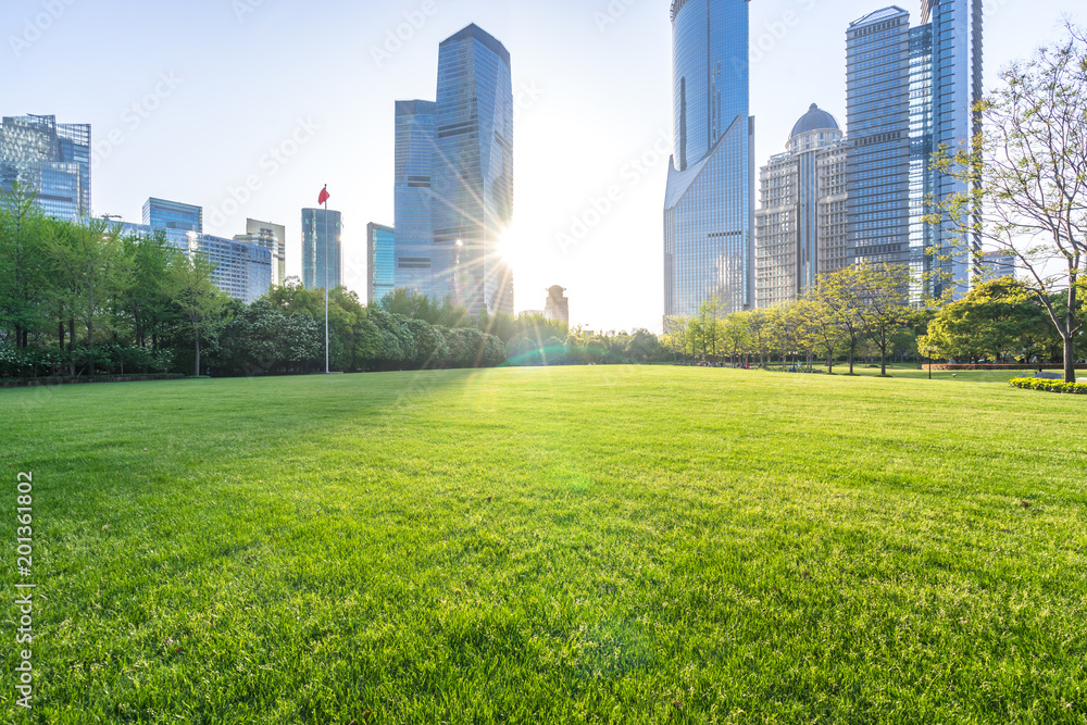 Fototapeta premium green lawn with modern building in park