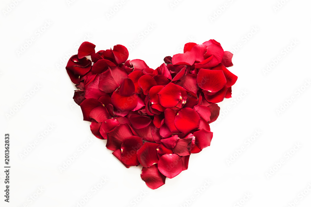Red roses and rose petals isolated on white. Red roses and rose petals isolated on white.