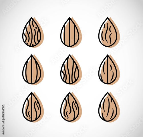 Almond icon vector