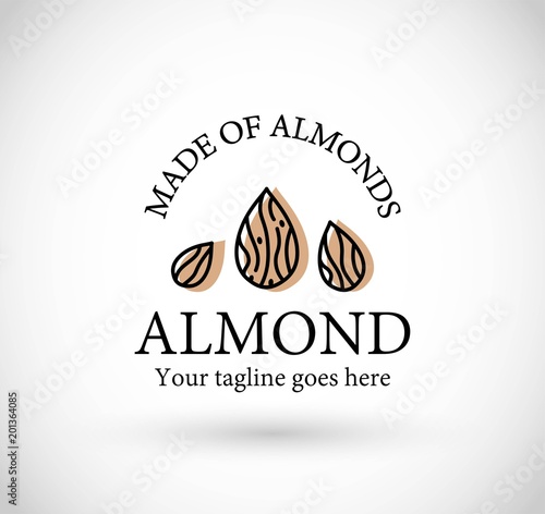 Almond icon vector