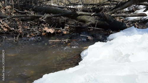 Early spring landscape of the snow in the forest. Streams flow in the spring in spring.