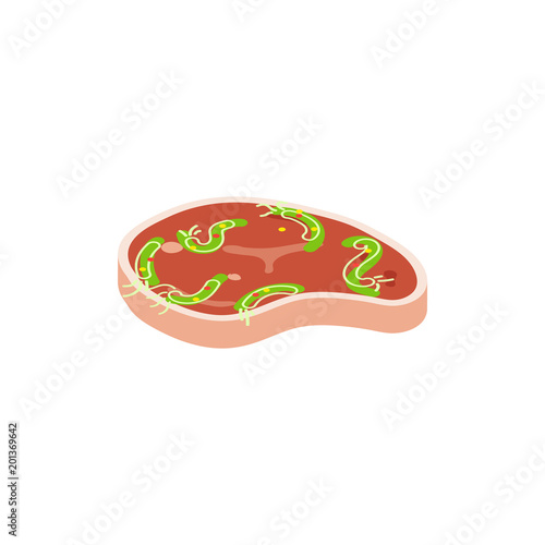 Isometric meat with salmonella. Cartoon vector illustration