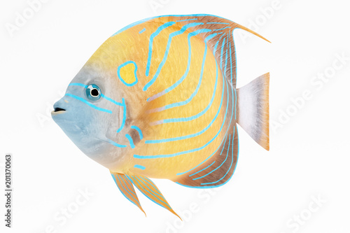 Realistic 3D Render of Blue Ring Angel Fish
