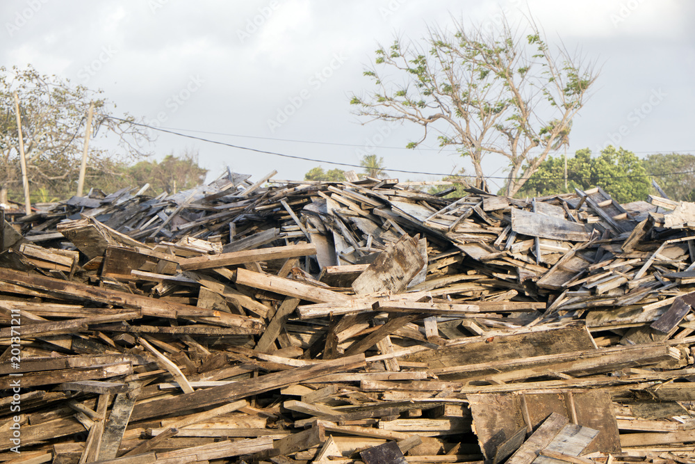 pieces of wood that are bent at the gathering of wood pieces of wood that are bent at the gathering of wood
