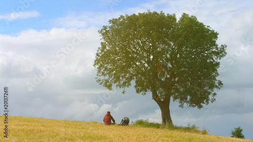 Young man with backpack relaxing near tree, hiker enjoying nature, green tourism