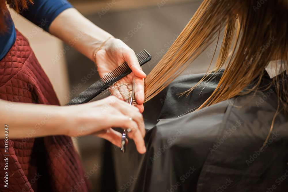 hairdresser stylist cuts girl's hair
