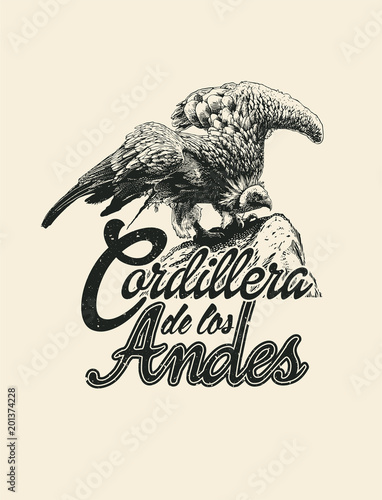 Andean Mountains inscription in Spanish. Design T-shirt With Griffon Vulture On The Rock. Vector Illustration.