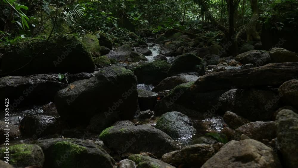 Stones and rocks covered by moss along water stream Stones and rocks covered by moss along water stream