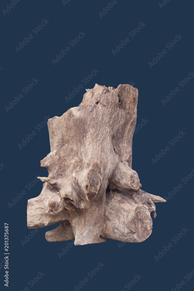 Isolate of beautiful timber used for decorating in the aquarium with clipping path on blue background.