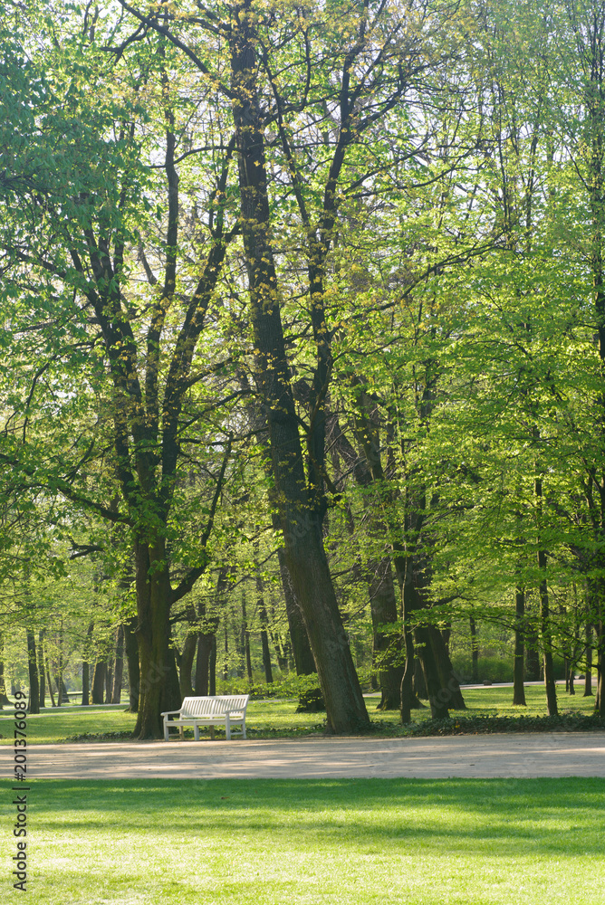 white banches  in Lazienki Park Warsaw Poland