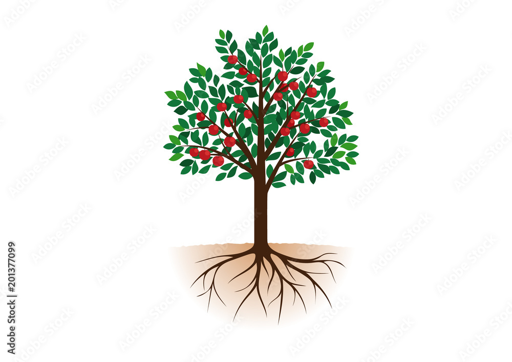根っこ付きりんごの木 Stock Vector Adobe Stock